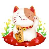 由 b90810704666821 (刊登 ID 1384206598，圖片 1) 提交，位於 的 (類別：)，說明：。