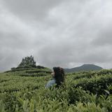 (Kategori: ) berada di . Dikirim oleh jessicahrln (ID iklan 1378408147, Gambar 1). Deskripsi: .