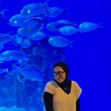 (Kategori: ) berada di . Dikirim oleh kusnul.im (ID iklan 1379266506, Gambar 1). Deskripsi: .