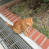 (Category: ) located in . Submitted by rsryn (Listing ID 1379842487, Image 1). Description: .