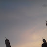 (Category: ) located in . Submitted by saifmd (Listing ID 1470662449, Image 1). Description: .