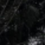 (Category: ) located in . Submitted by twinklezs (Listing ID 1379651535, Image 1). Description: .