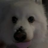 (Category: ) located in . Submitted by momoscxo (Listing ID 1379290734, Image 1). Description: .