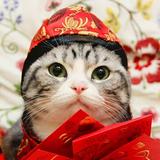 （分類：）位於 。 由 ngomai 提交（商品編號 1370288032，圖片 1）。簡介： 。