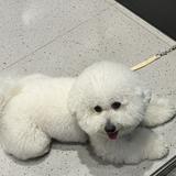 由 tiffany00234 (刊登 ID 1362956779，圖片 1) 提交，位於 的 (類別：)，說明：。