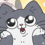 由 buybuygogo (刊登 ID 1382072993，圖片 1) 提交，位於 的 (類別：)，說明：。
