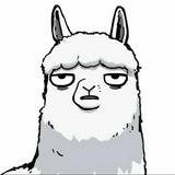 由 kane_wuuuu (刊登 ID 1386078697，圖片 1) 提交，位於 的 (類別：)，說明：。