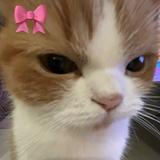 (Category: ) located in . Submitted by nwleia (Listing ID 1380880240, Image 1). Description: .