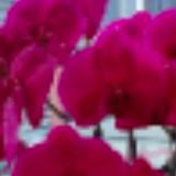 (Category: ) located in . Submitted by psc888 (Listing ID 1380792764, Image 1). Description: .