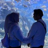 (Kategori: ) berada di . Dikirim oleh rare99 (ID iklan 1381475325, Gambar 1). Deskripsi: .
