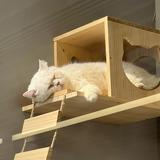 (Category: ) located in . Submitted by slzhf. (Listing ID 1380131917, Image 1). Description: .