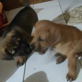 (Kategori: ) berada di . Dikirim oleh luckygirlintheworld (ID iklan 1385805842, Gambar 1). Deskripsi: .