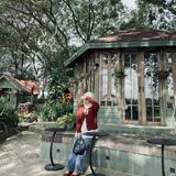 (Kategori: ) berada di . Dikirim oleh prolevedbyzavi (ID iklan 1381513030, Gambar 1). Deskripsi: .