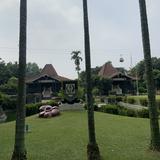 (Kategori: ) berada di . Dikirim oleh pawwsiesh1717 (ID iklan 1380486057, Gambar 1). Deskripsi: .