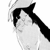 由 sin1235 (刊登 ID 1380403497，圖片 1) 提交，位於 的 (類別：)，說明：。