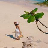 (Category: ) located in . Submitted by sossysuzie (Listing ID 1380427807, Image 1). Description: .