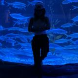 (Category: ) located in . Submitted by msworldtraveller (Listing ID 1380573486, Image 1). Description: .