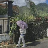 (Kategori: ) berada di . Dikirim oleh preeelloura (ID iklan 1380675624, Gambar 1). Deskripsi: .