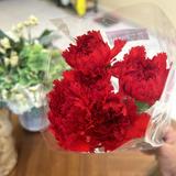 (Category: ) located in . Submitted by alizzejadore (Listing ID 1380775167, Image 1). Description: .