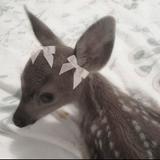 （分類：）位於 。 由 hailey0268 提交（商品編號 1380817504，圖片 1）。簡介： 。