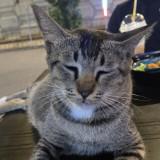 (Category: ) located in . Submitted by map31 (Listing ID 1380886246, Image 1). Description: .