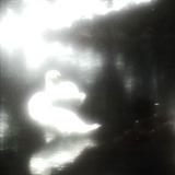 (Category: ) located in . Submitted by mnlvr (Listing ID 1374384537, Image 1). Description: .