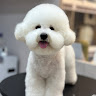 由 peggy2331507869 (刊登 ID 1380748081，圖片 1) 提交，位於 的 (類別：)，說明：。