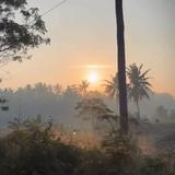 (Kategori: ) berada di . Dikirim oleh prelovednyss (ID iklan 1382620416, Gambar 1). Deskripsi: .