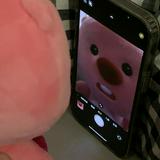 由 puppyoo_.66 (刊登 ID 1379091654，圖片 1) 提交，位於 的 (類別：)，說明：。