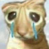 （分類：）位於 。 由 buytoomanythingsqq 提交（商品編號 1373376761，圖片 1）。簡介： 。