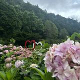 由 eilleowooo (刊登 ID 1384897662，圖片 1) 提交，位於 的 (類別：)，說明：。