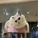(Category: ) located in . Submitted by mandathepanda (Listing ID 1380960160, Image 1). Description: .