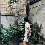 (Kategori: ) berada di . Dikirim oleh rewearhype (ID iklan 1380941737, Gambar 1). Deskripsi: .