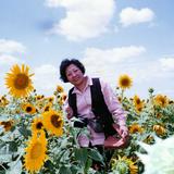 由 shanbilin76325 (刊登 ID 1385638757，圖片 1) 提交，位於 的 (類別：)，說明：。