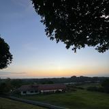 (Category: ) located in . Submitted by cass.teo (Listing ID 1381342260, Image 1). Description: .