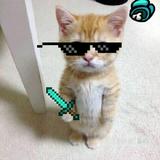 (Category: ) located in . Submitted by goodpig15 (Listing ID 1379542435, Image 1). Description: .