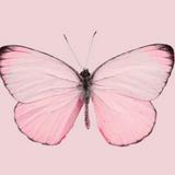 (Category: ) located in . Submitted by pink.butterfly (Listing ID 1385082089, Image 1). Description: .