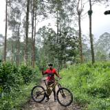(Category: ) located in . Submitted by i_am_specialized (Listing ID 1379704075, Image 1). Description: .