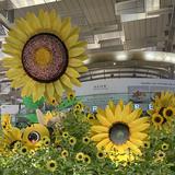 (Kategori: ) berada di . Dikirim oleh prelovedbyaiueoie (ID iklan 1381248934, Gambar 1). Deskripsi: .