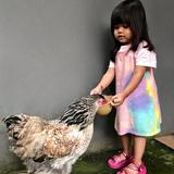 (Kategori: ) berada di . Dikirim oleh puttrama22 (ID iklan 1384402604, Gambar 1). Deskripsi: .