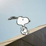 （分類：）位於 。 由 snoopyjams 提交（商品編號 1382412276，圖片 1）。簡介： 。