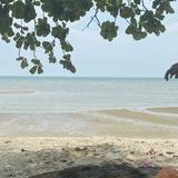 (Category: ) located in . Submitted by zyanshb (Listing ID 1380669397, Image 1). Description: .