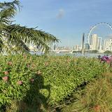 (Category: ) located in . Submitted by 0220ts (Listing ID 1381303029, Image 1). Description: .