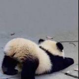 （分類：）位於 。 由 hkdsemathtutorial._. 提交（商品編號 1381309623，圖片 1）。簡介： 。
