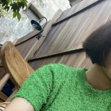 (Kategori: ) berada di . Dikirim oleh jajaniinnn (ID iklan 1383621684, Gambar 1). Deskripsi: .