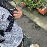 由 Gandhiman (刊登 ID 1381857321，圖片 1) 提交，位於 的 (類別：)，說明：。