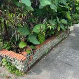 (Category: ) located in . Submitted by bminerva (Listing ID 1382157659, Image 1). Description: .