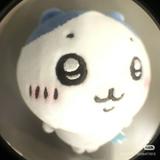 （分類：）位於 。 由 cocoma2006 提交（商品編號 1381181389，圖片 1）。簡介： 。