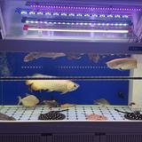 (Category: ) located in . Submitted by eraserr (Listing ID 1384152753, Image 1). Description: .