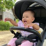 (Kategori: ) berada di . Dikirim oleh intanrestanti (ID iklan 1382876888, Gambar 1). Deskripsi: .